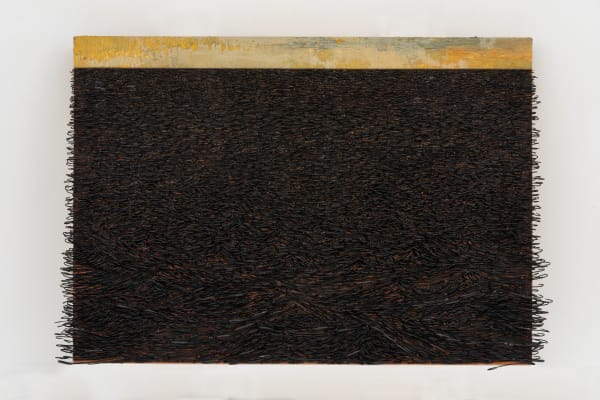 Yoan Capote, Palangre (Saturación), 2018