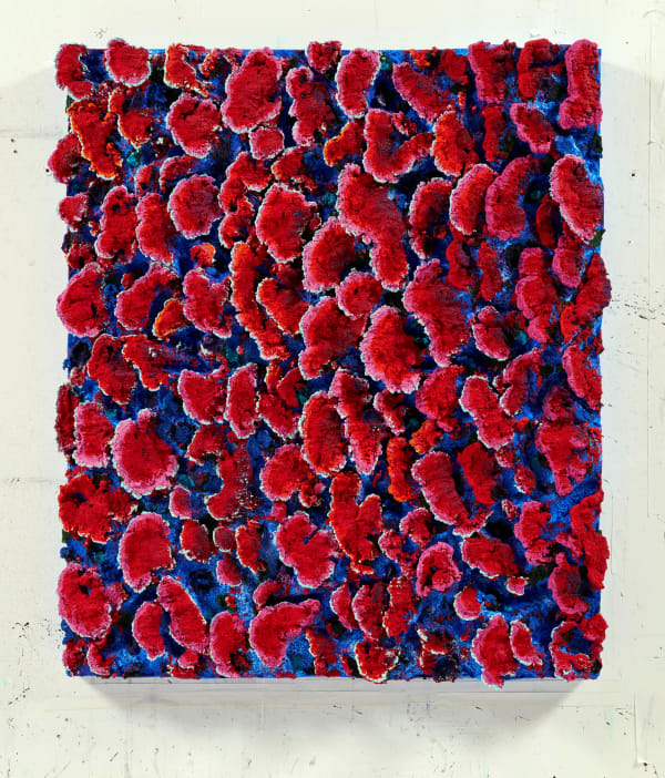 Nabil Nahas, Untitled, 2017