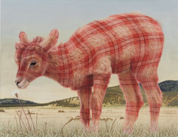 Sean Landers, Dall Kid (Coconino Plateau, AZ), 2015