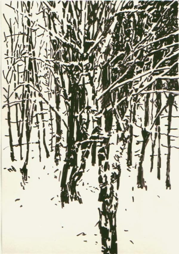 Heribert C. Ottersbach, O.T. (Kleiner Waldspaziergang) Untitled (Small forest walk), 2007