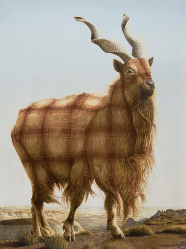 Sean Landers, Painted Desert (Markhor), 2015