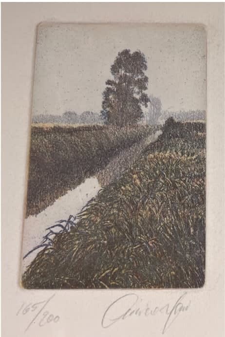 Oliviero Masi, Stream