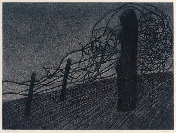 Irene Scheinmann - All Around Me Wilderness I See, 1991