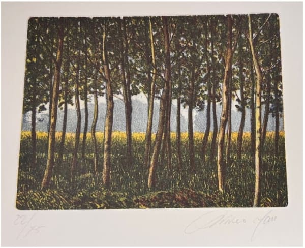 Oliviero Masi, Trees in a field