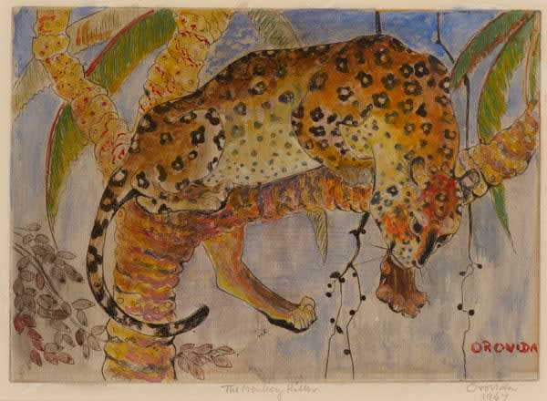 Orovida Pissarro, Jaguar