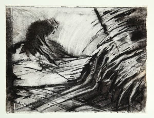 L. Michèle Franklin, Body Bank