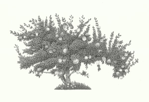 Dea Svensson, People/Places, 2021