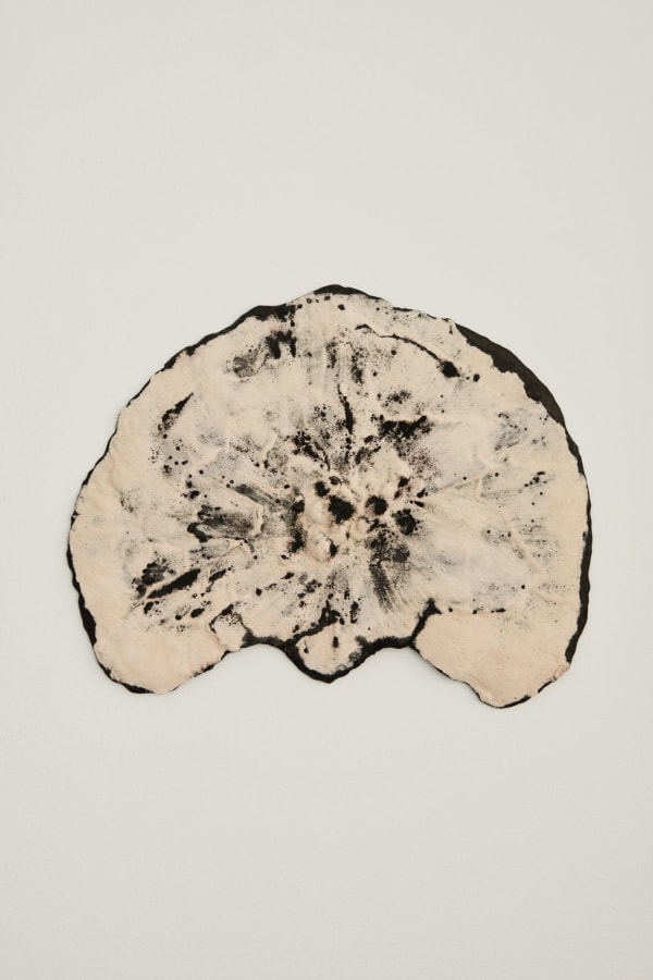 Ellen Ehk, Geomancy (Carapax), 2020