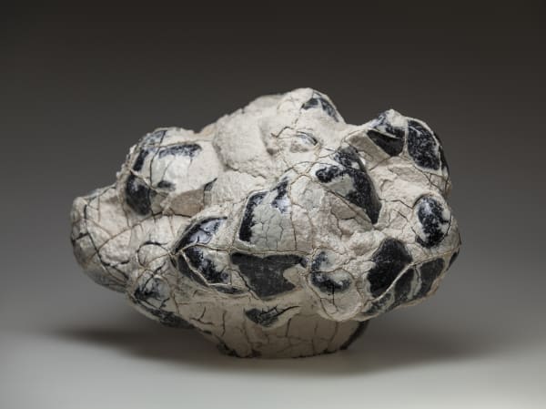 Ellen Ehk, White Moss, 2017