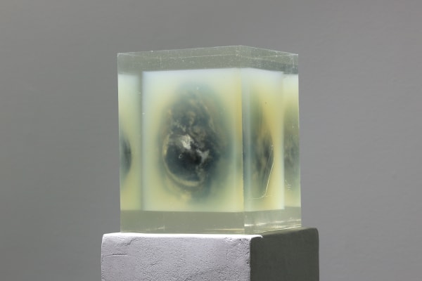 Hilda Hellström, The pineal gland, 2020