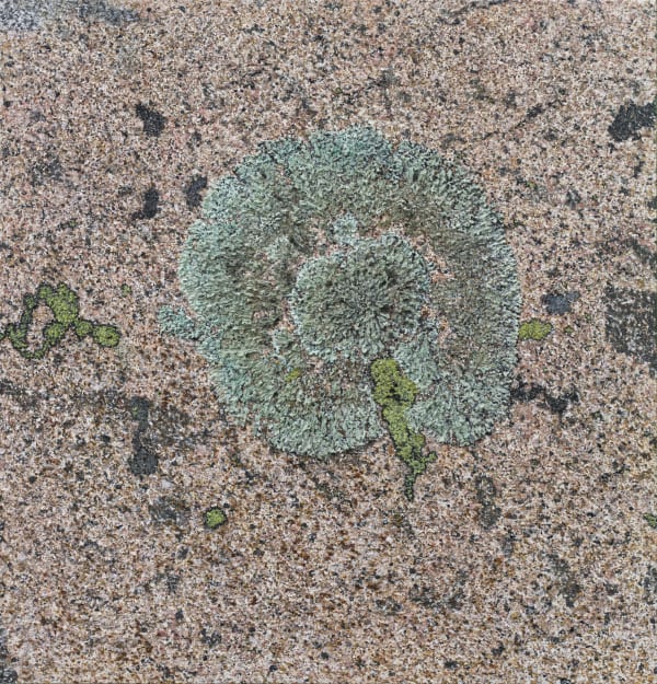 Ivar Lövheim, Fionas, 2025