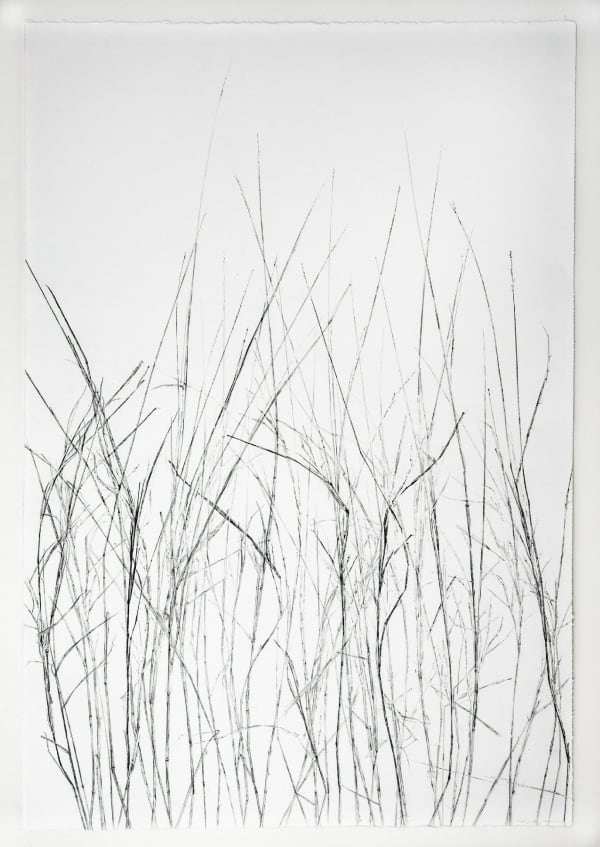 Linda Ridgway Grassland I, Third State, 2018 Graphite on paper 44 1/4 x 30 inches 112.4 x 76.2 cm Framed: 49 1/2 x 35 x 1 7/8 inches