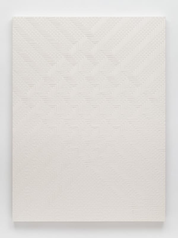 Tauba Auerbach, Weave/Weave I, 2011