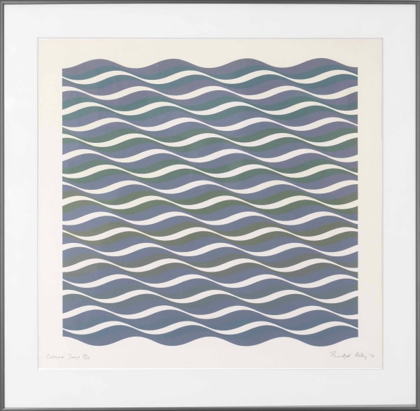 Bridget Riley, Colored Greys 3, 1972