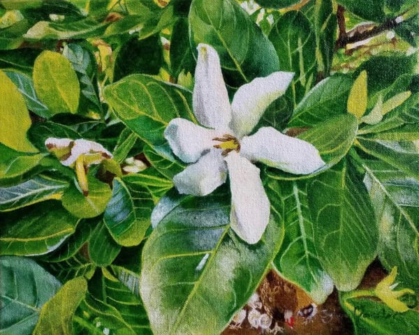 Sylvia Marsters, Co-Exist, 2023