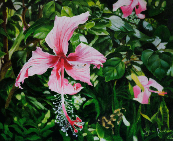 Sylvia Marsters, Manako (Memory), 2022