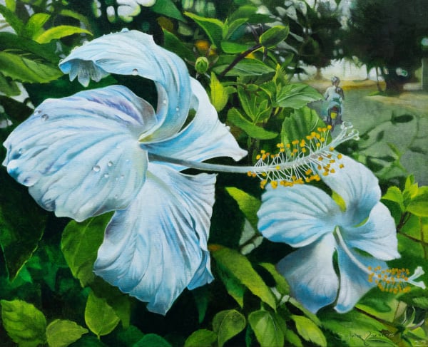 E Moemoe'a Naku - A Dream of Mine