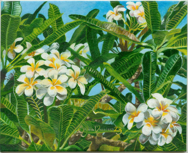 Sylvia Marsters, Tupu-ruperupe, 2023