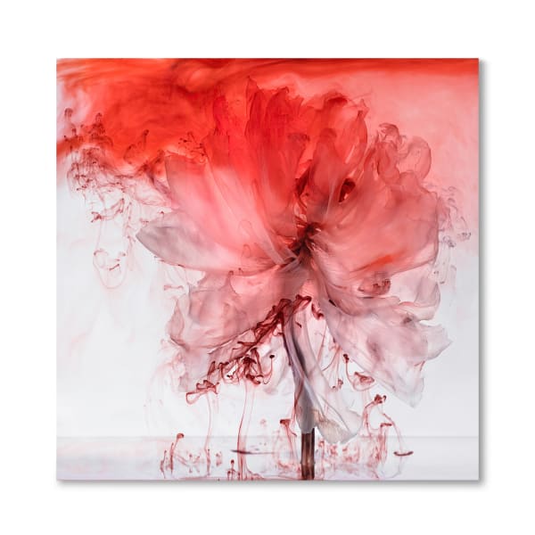 Kathrin Linkersdorff Fairies VI / 5, 2021 archival pigment print 80 x 80 cm Edition of 8 plus 2 artist's proofs