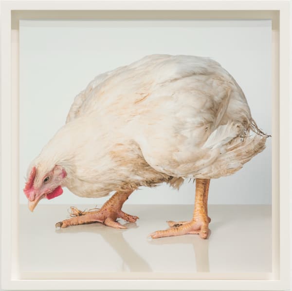 Andreas Greiner, Heinrich, 2015