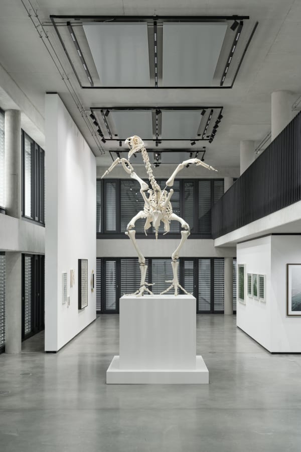 Andreas Greiner Monument of the 308 (1:8), 2017 3D print of x-ray scanned dead-found broiler chicken, polylactic acid, stainless steel 310 x 120 x 120 cm 4 + 1 AP