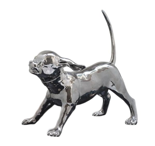 Mauro CORDA, CHIHUAHUA, 2008