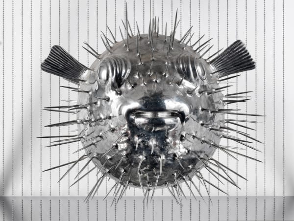 Mauro Corda, Poisson parc-epic, 2011