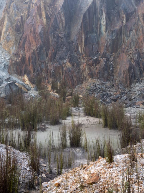 Sarah Rhodes Blow, 2020 pigment print on cotton rag paper 80 x 60cm (paper size) edition of 5 plus 2 artist's proofs AU$ 2,400.00 + framing 120 x 90 cm (paper size) edition of 5 plus 2 artist's proofs AU$ 3,400.00 + framing