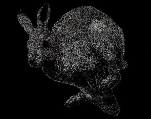 Helen Wright Hare, 2011 woodcut on paper 57 x 72 cm (paper size) edition of 6 plus 2 artist's proofs