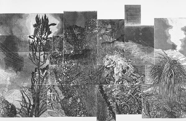 Raymond Arnold Elsewhere world consolidated I, 2017 etching on 300gsm Velin Arches, unframed 80 x 115 cm
