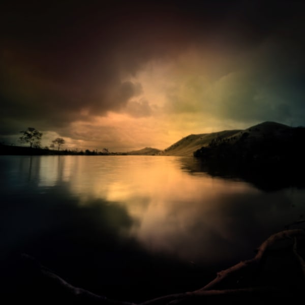 Jane Burton, In Other Bodies 13, 2013