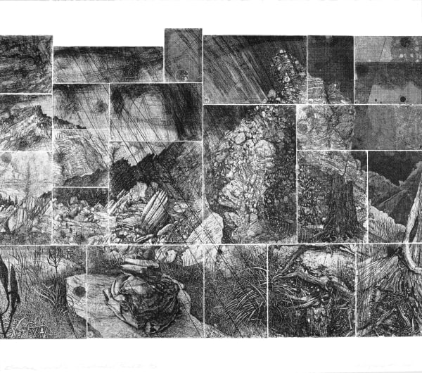 Raymond Arnold Elsewhere World – Consolidated D, 2019 etching on 300gsm Velin Arches 80 x 90cm Edition of 4