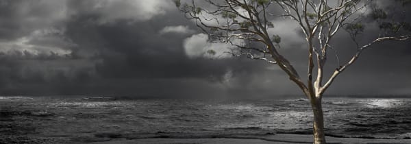 Valerie Sparks This weather #2 view 3, 2010 Pigment Inkjet Print on Paper 70 cm x 200 cm Edition of 8 plus 2 artist's proofs