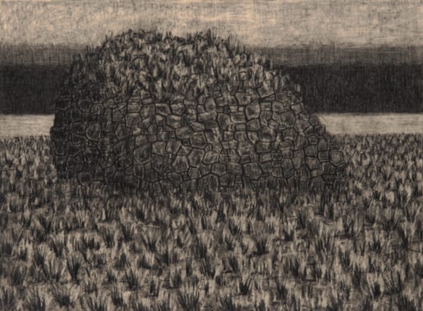 Richard Wastell Grass Covered Rock, 2014 charcoal on paper 56 x 76cm (paper size)