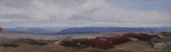 Philip Wolfhagen Shadow Play no. 1, 2020 oil on board 28 x 92cm