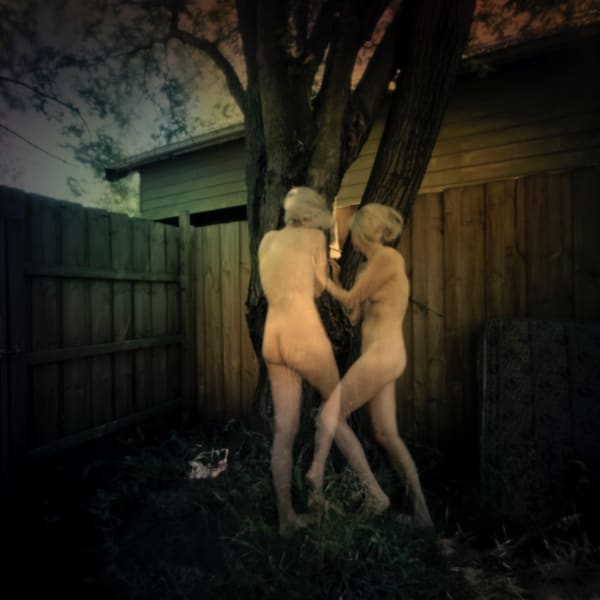 Jane Burton, In Other Bodies 2, 2013