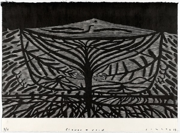 Michael Schlitz, Flower and Void, 2013