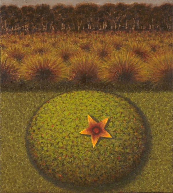 Richard Wastell Star Flower, Cushion Plant, 2014 oil & pumice on linen 51 x 46cm (stretcher size)