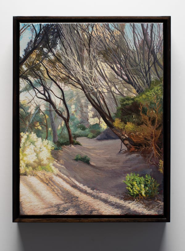 David Keeling Following the Light (Narawntapu) 2, 2023 oil on linen, framed 44 x 34 cm (frame size)