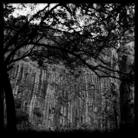 Jane Burton, Badlands 8, 2001