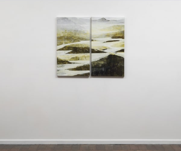 Caroline Rannersberger D’Entrecasteaux in saffron small diptych VI, 2018 ink and acrylic on linen diptych: 92 x 102cm