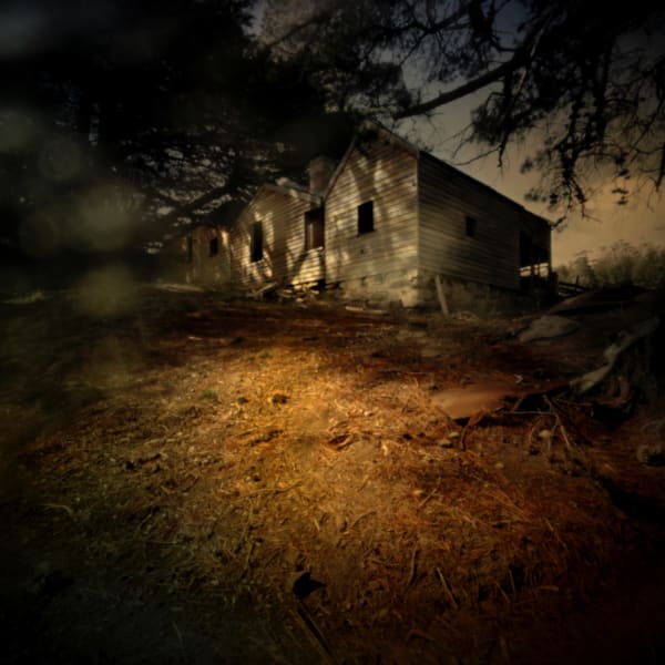 Jane Burton, In Other Bodies 8, 2013