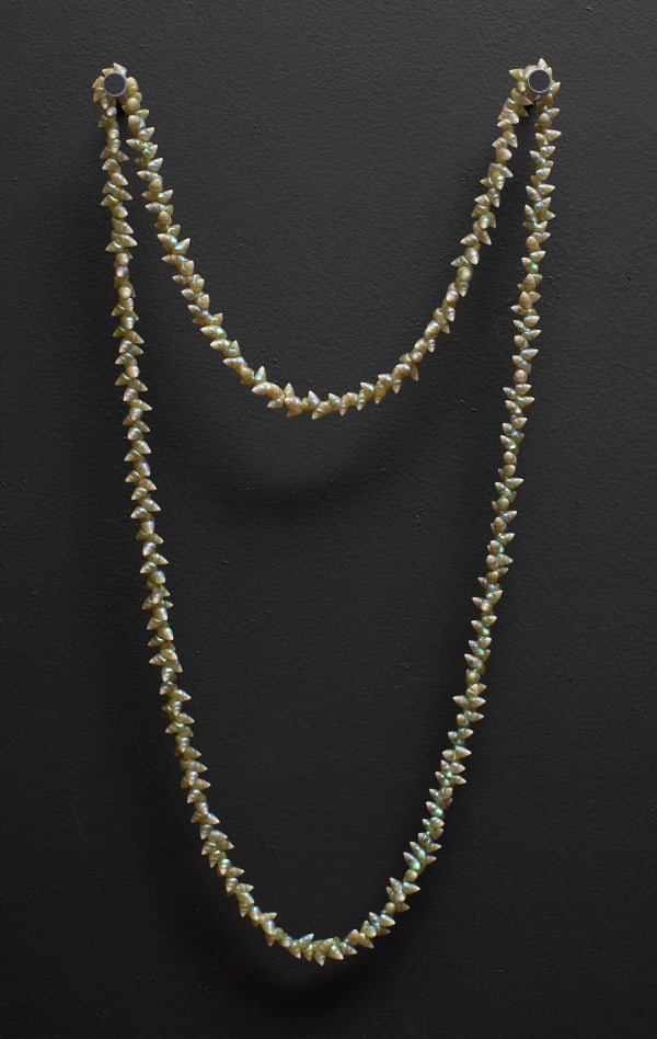 Emma Robertson palawa necklace, 2022 single species: maireener shells 108 cm (overall length)