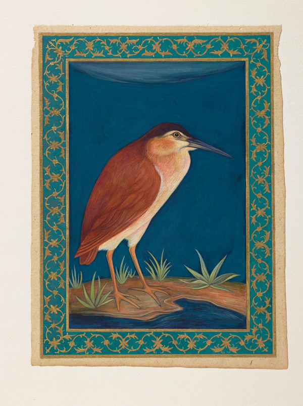 Sue Lovegrove Rufous Night Heron, Nyticorax caledonicus, 2016 (After Ustad Mansur, 1590-1624, Mughal) watercolour, gouache, ink, traditional pigments and 23 carat shell gold on old Indian manuscript paper, framed 21 x 15 cm approx