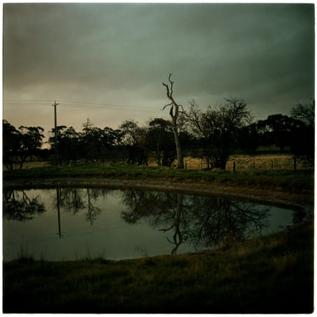 Jane Burton, The Other Side 09, 2002