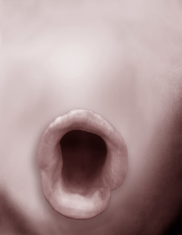 Pat Brassington Exit, 2017 pigment print 85 x 66 cm Edition of 8 plus 2 artist's proofs