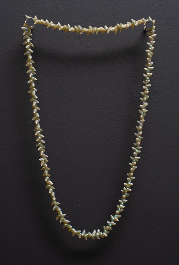 Emma Robertson palawa necklace, 2022 single species: maireener shells 98cm (overall length)