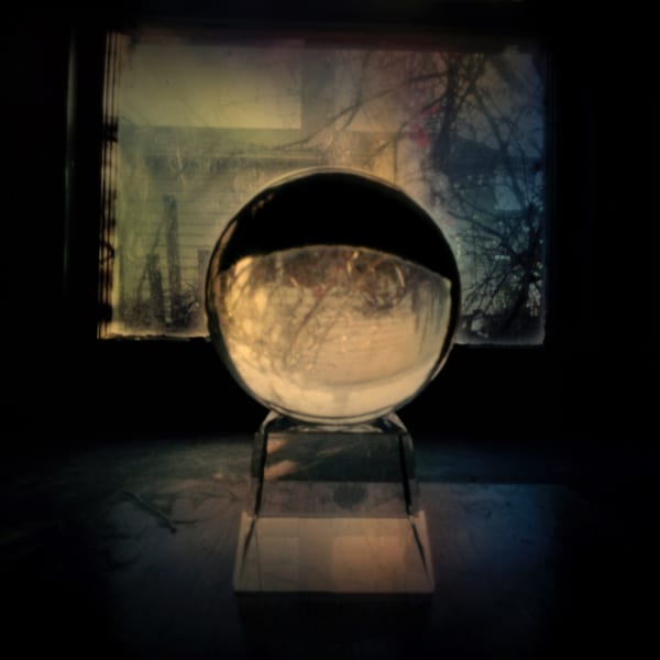 Jane Burton, In Other Bodies 10, 2013