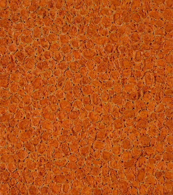 Richard Wastell My happiness. Red-gold algae painting, 2024 oil and pumice on linen 40 x 36 cm (stretcher size)