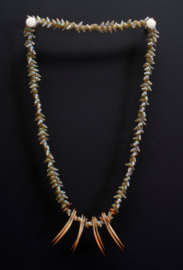 Tracy Purdon palawa necklace, 2022 maireener shells & echidna quills 80cm (overall length)
